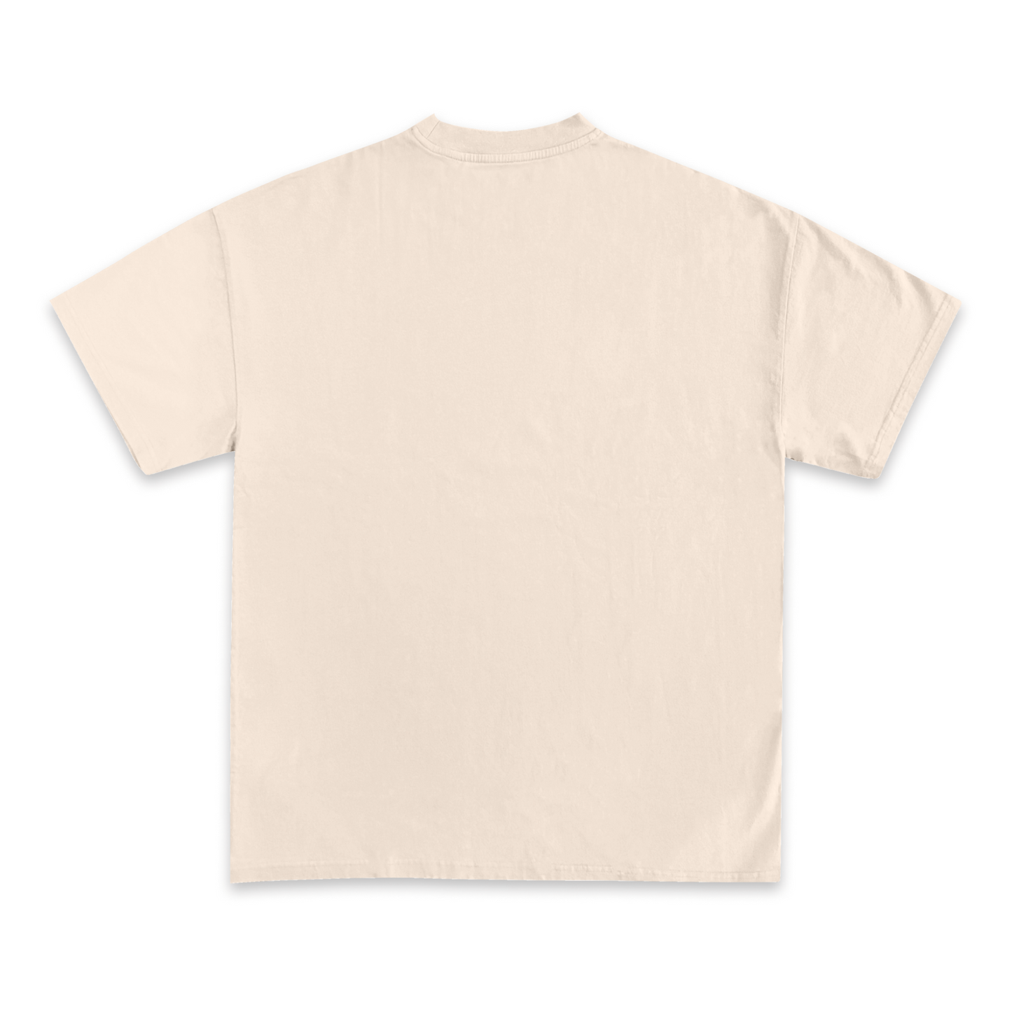 My Girlfriend Is Psychotic Graphic T-Shirt