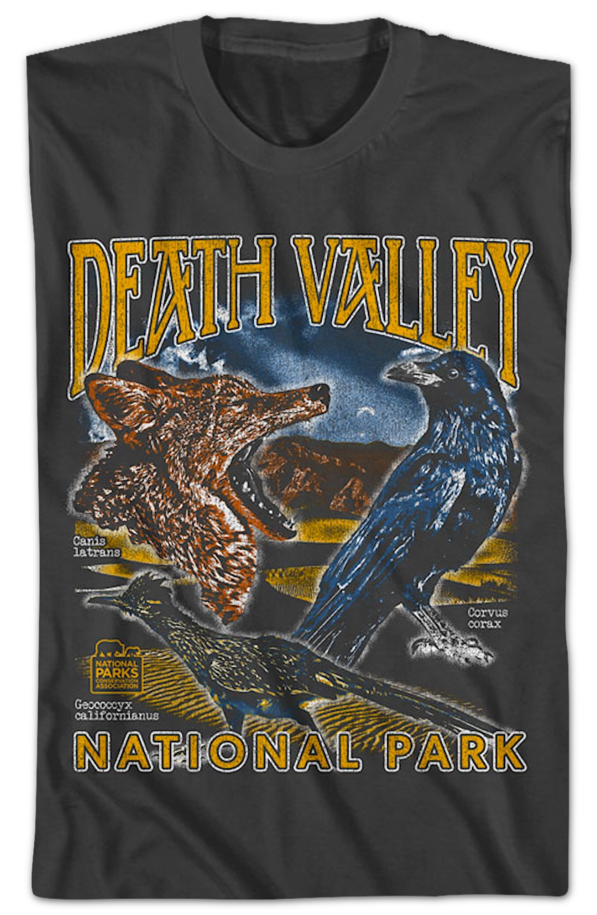 Death Valley National Park T-Shirt