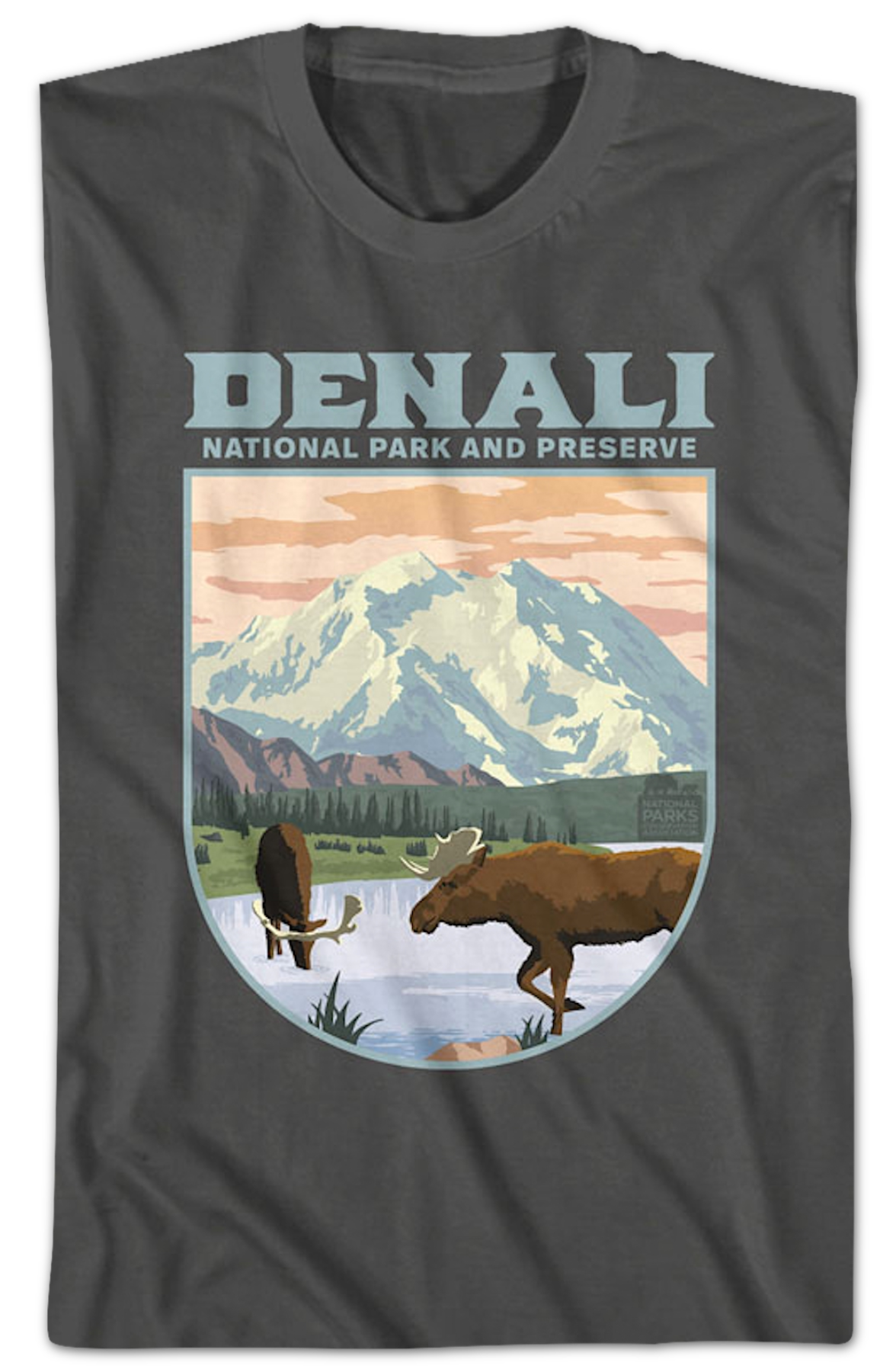 Denali National Park And Reserve T-Shirt