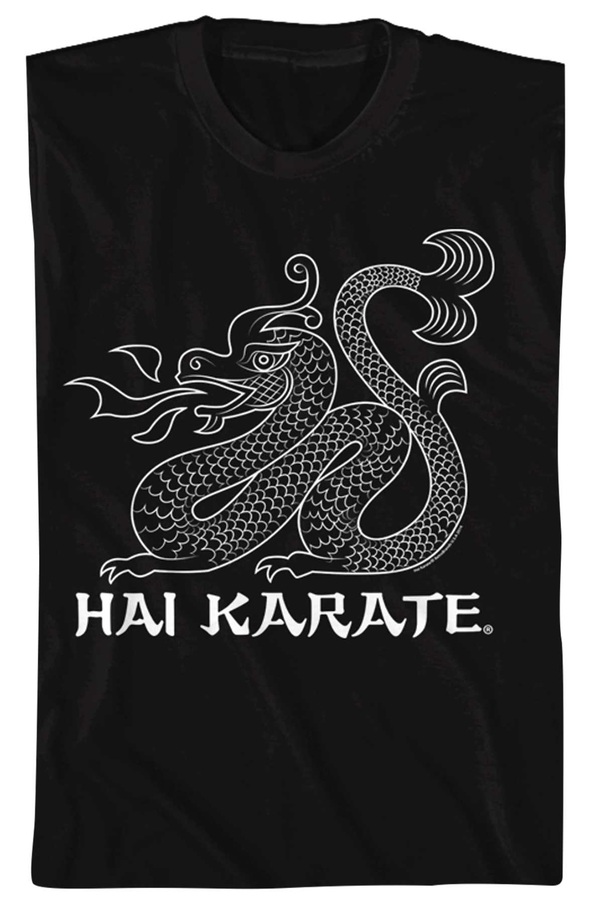 Dragon Hai Karate T-Shirt