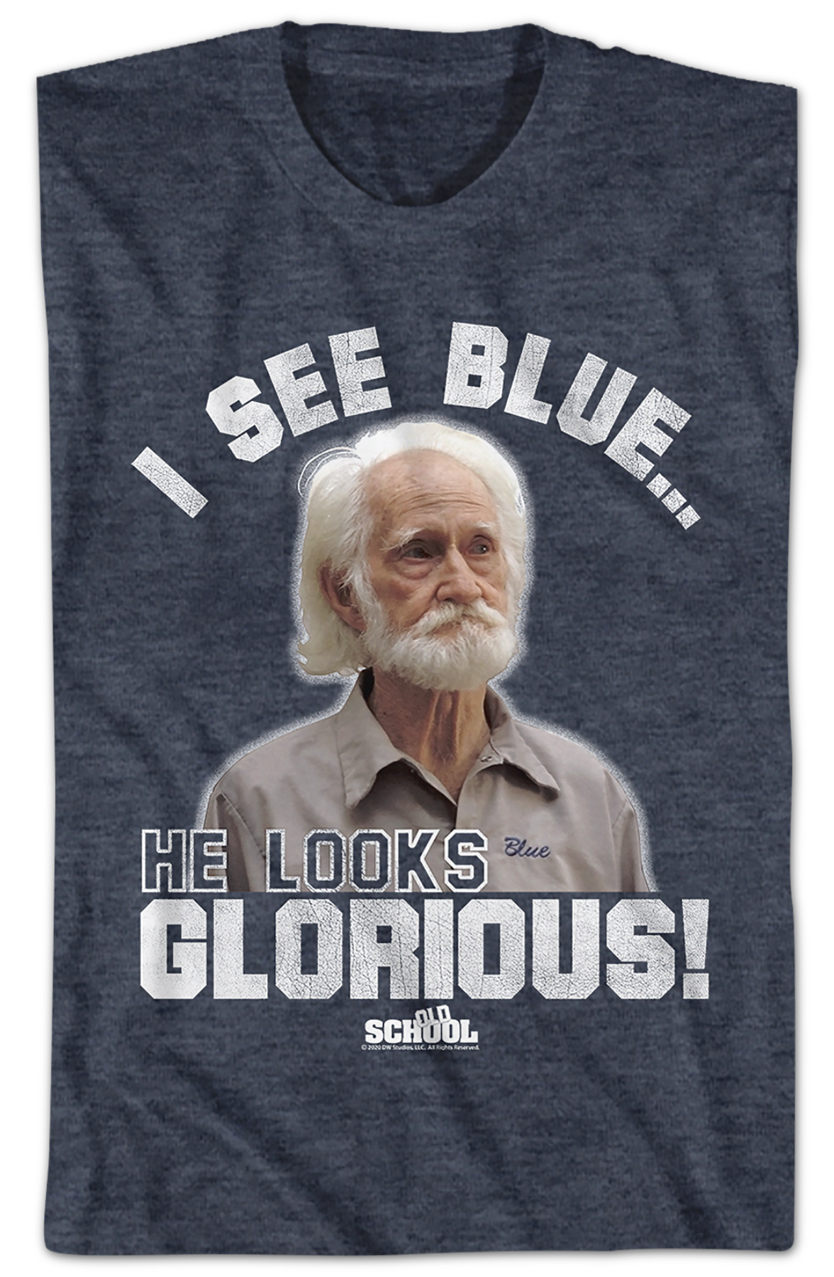 I See Blue He Looks Glorious Old School T-Shirt